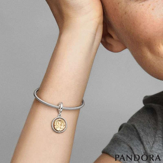 Conta - Pandora ft. Harry Potter: Hedwing Spinning