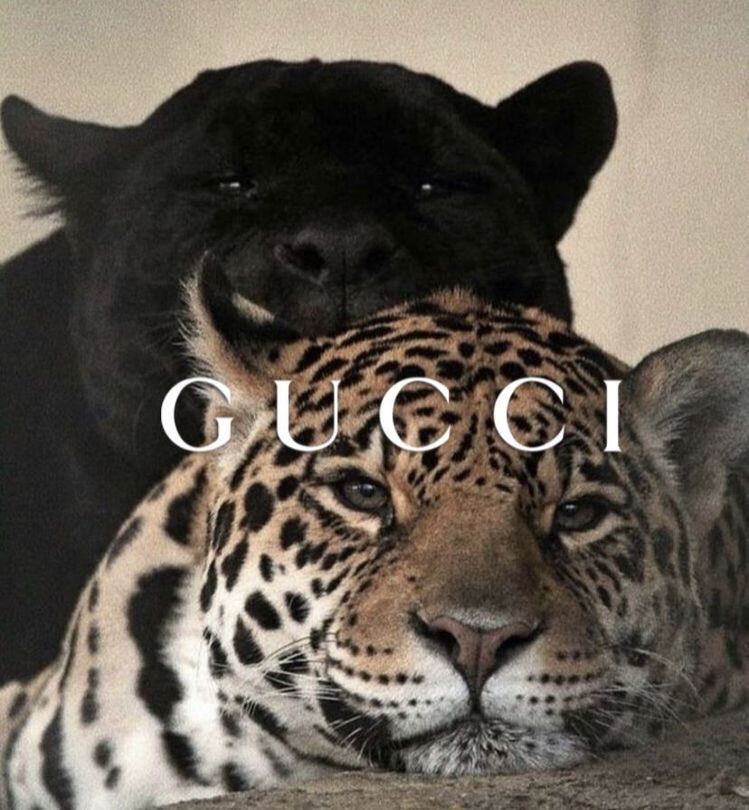 GUCCI