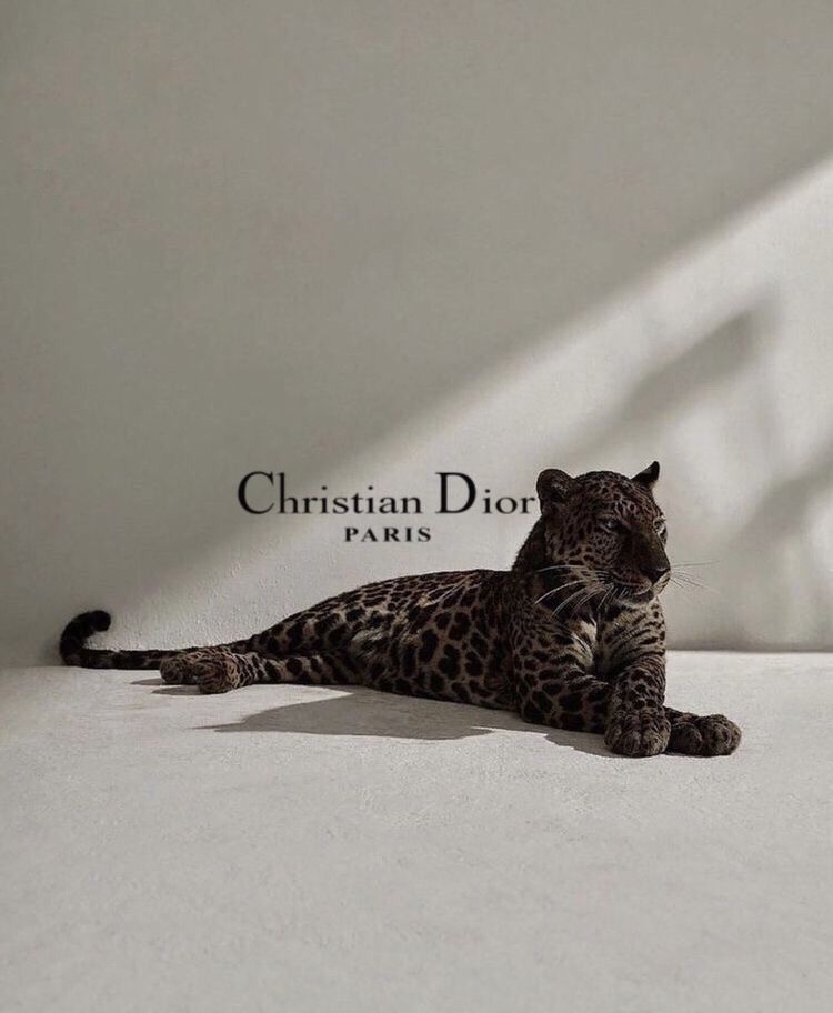 CHRISTIAN DIOR