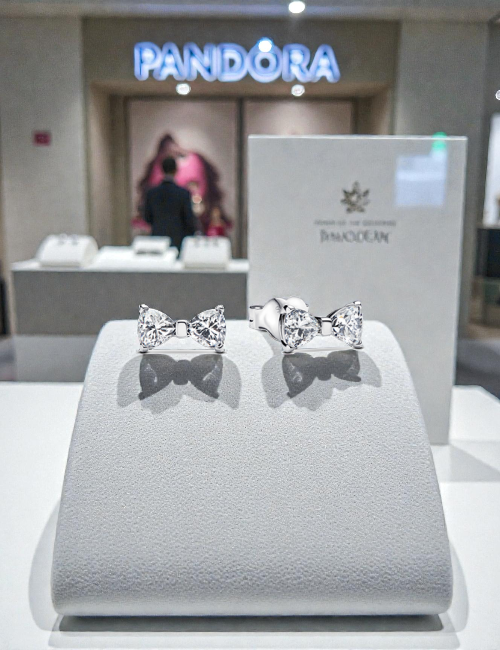 Brincos - Pandora