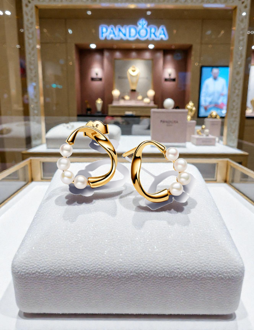 Brincos - Pandora